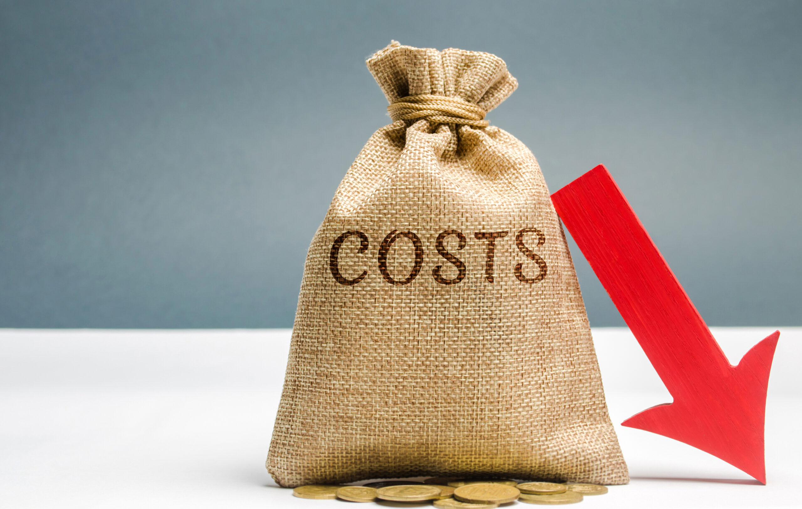 It May Be Tempting to Reduce IT Services to Cut Costs - But Don’t Give In